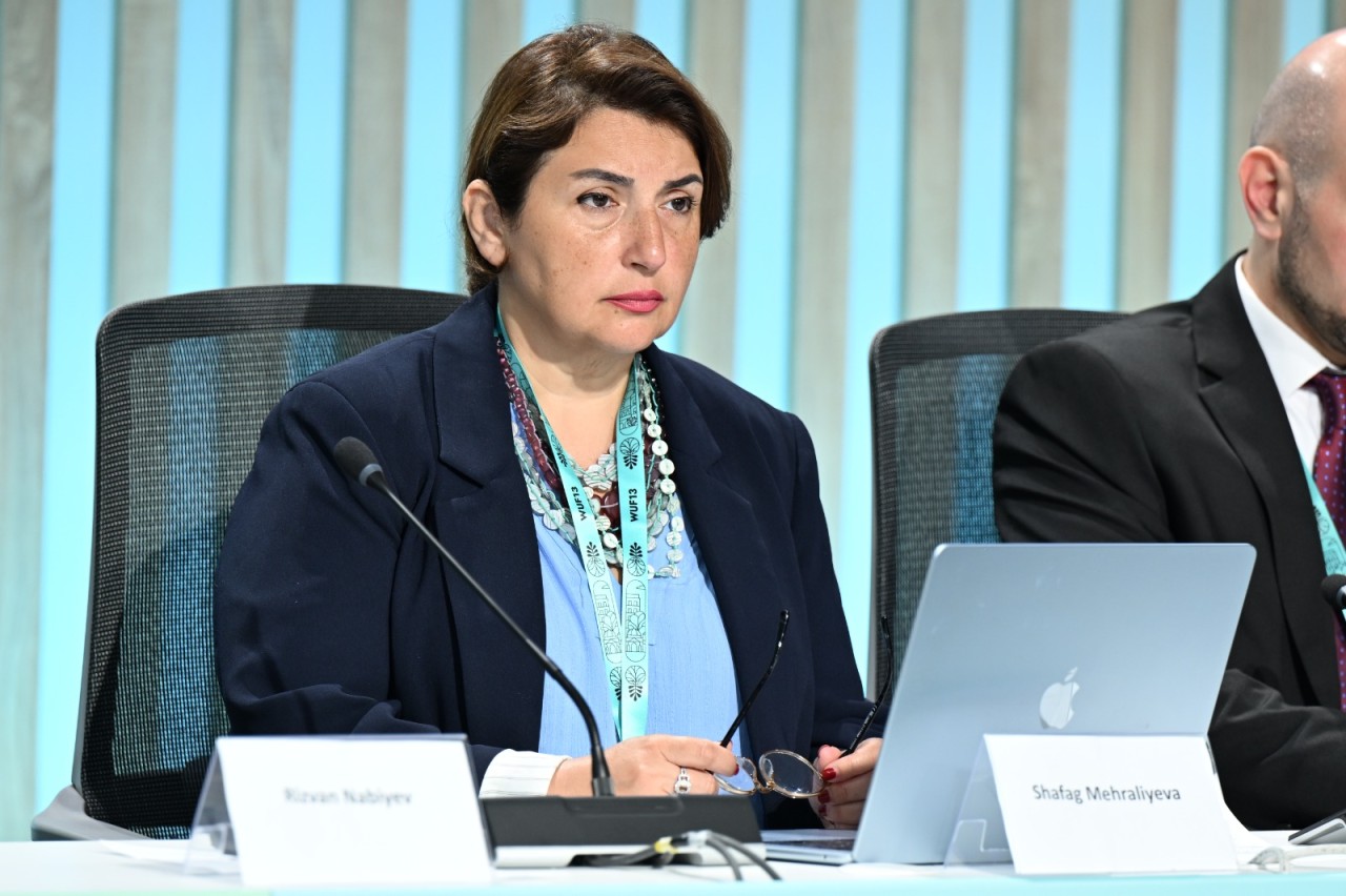 WUF13 çərçivəsində MİM tərəfindən tədbir keçirildi - FOTOLAR